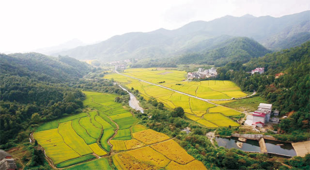 商城縣2014年農業綜合開發土地治理項目